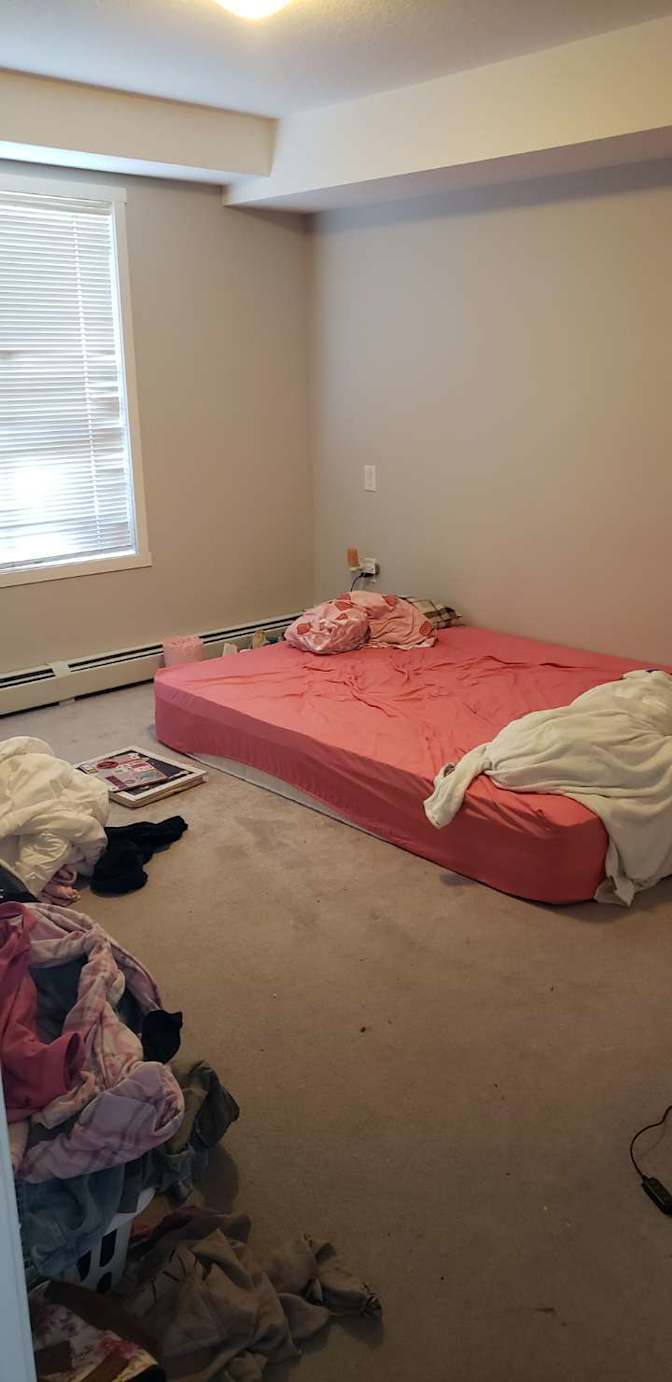 Photo of Isabelle Jeffers's room