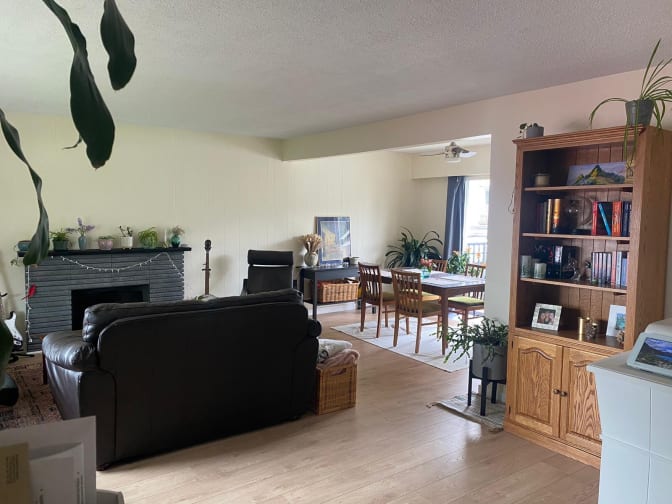 Doina Dragomir's room