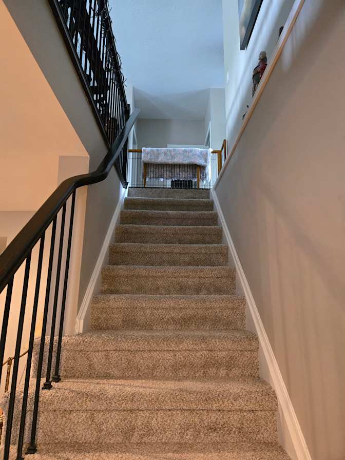 Catherine Traynor's room