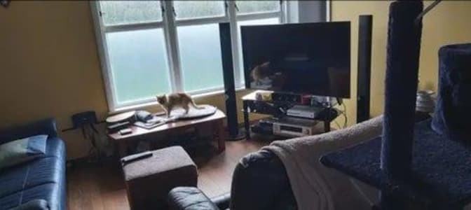 Photo of Jessica R Clark's room
