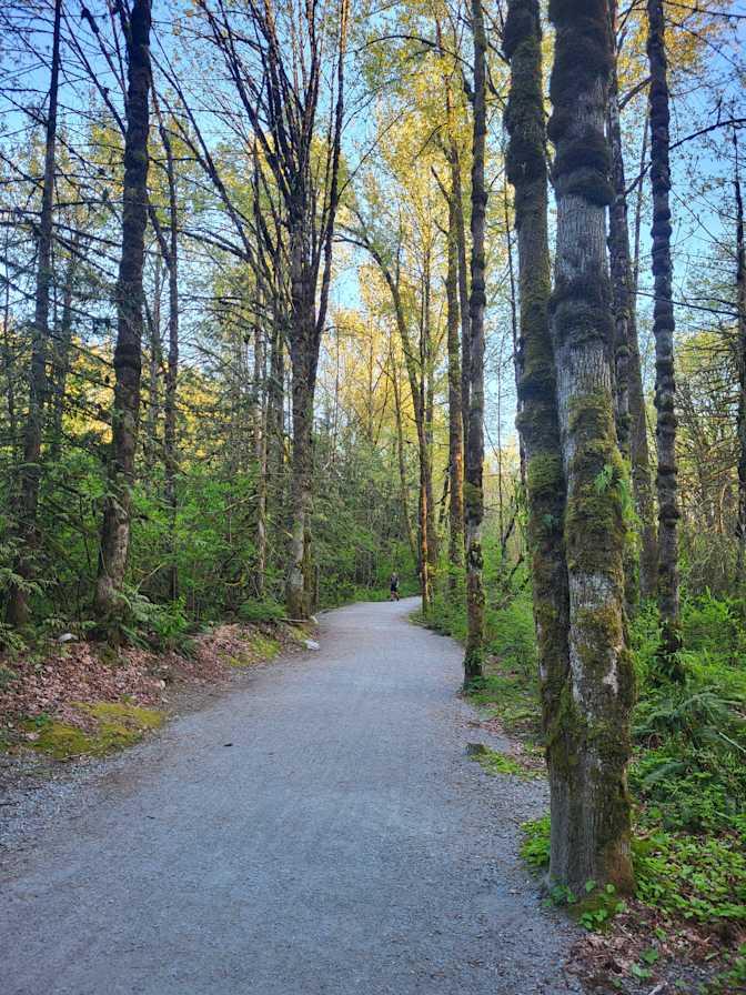 Photo of Soudabeh's room