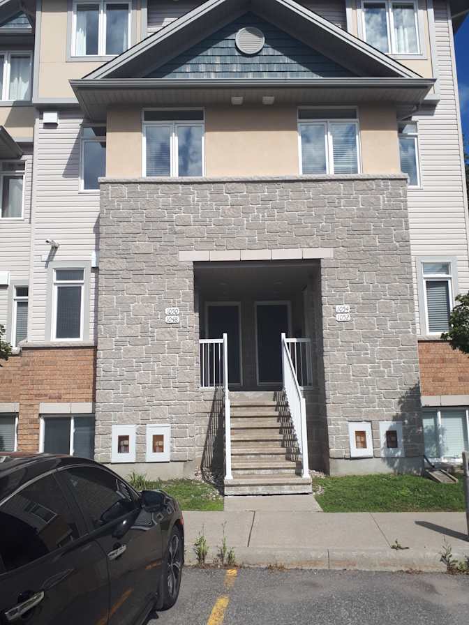 Lulu and Dino's nest's room