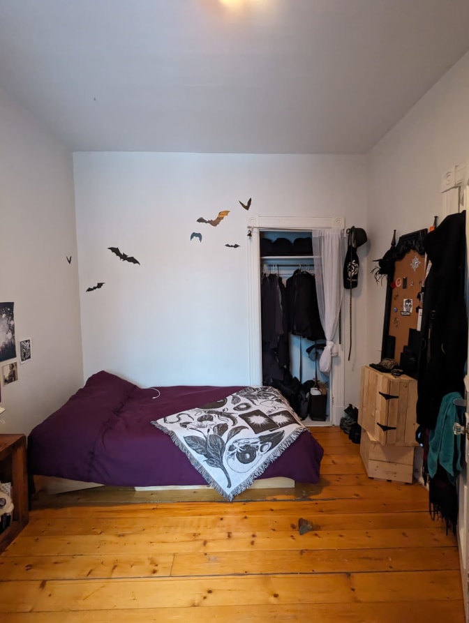 Photo of Marj (she/her/elle)'s room