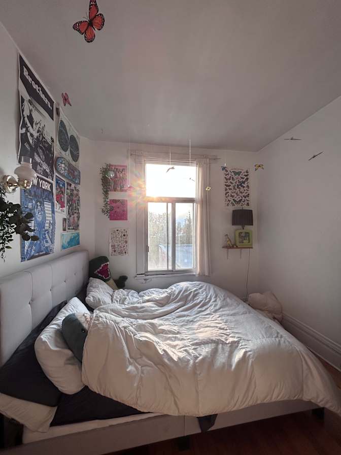 Photo of Alenne's room