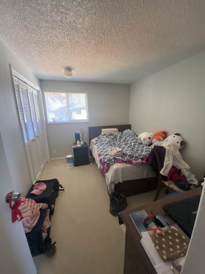 Photo of Lily's room
