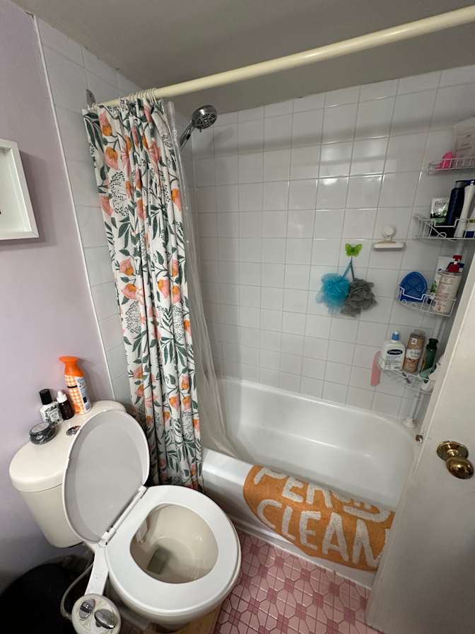 Nikolai Romanovitch's room