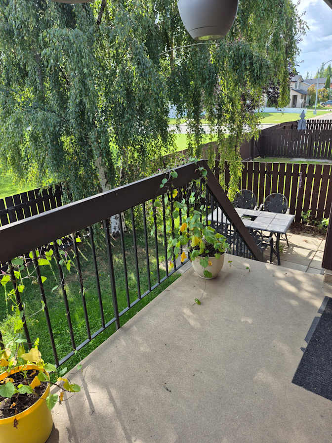 Heather Williams's room