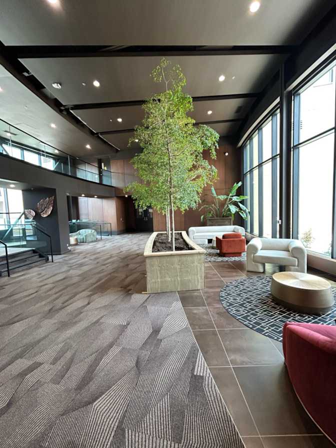 Photo of Zicheng's room