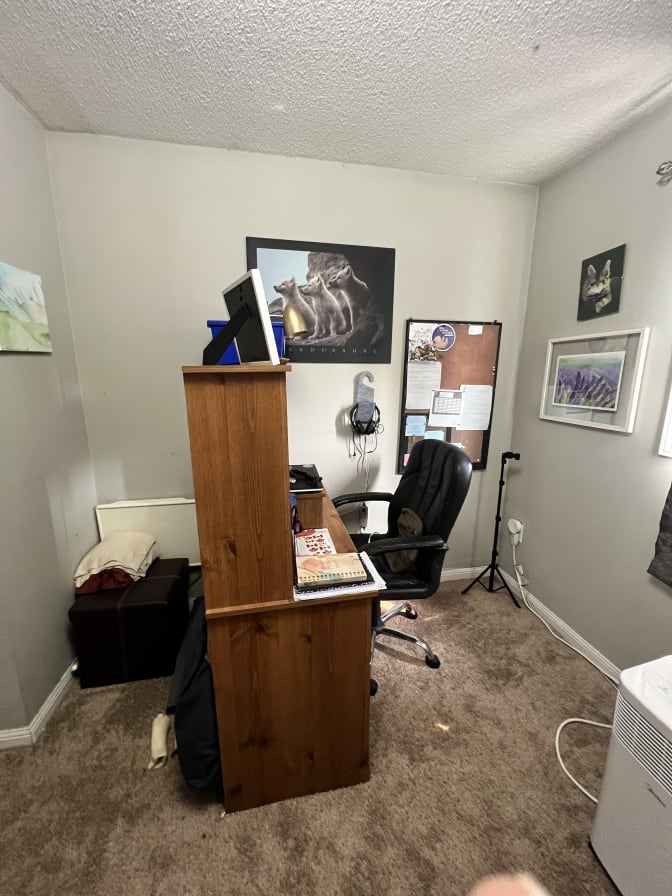 Photo of Carrie Zummach's room