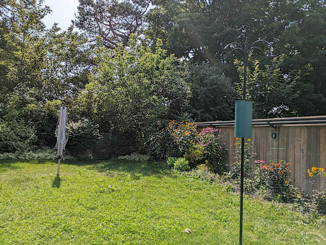 Aisha Comfortable Coliving's room