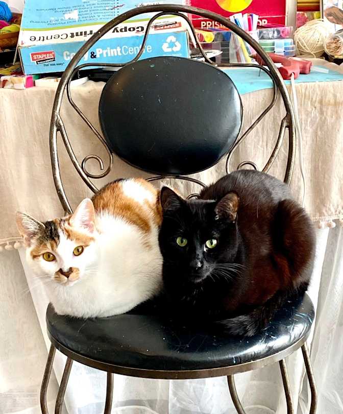 Photo of Hailey's room