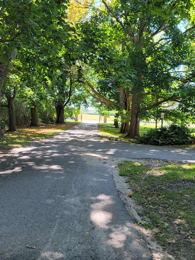 Amber Mowbray's room