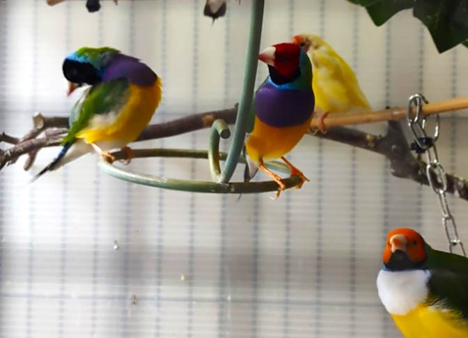 Photo of sheila's room