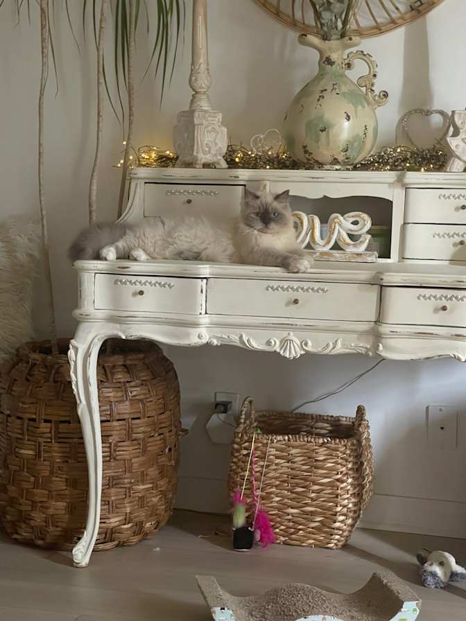 Photo of Latisha hayden's room