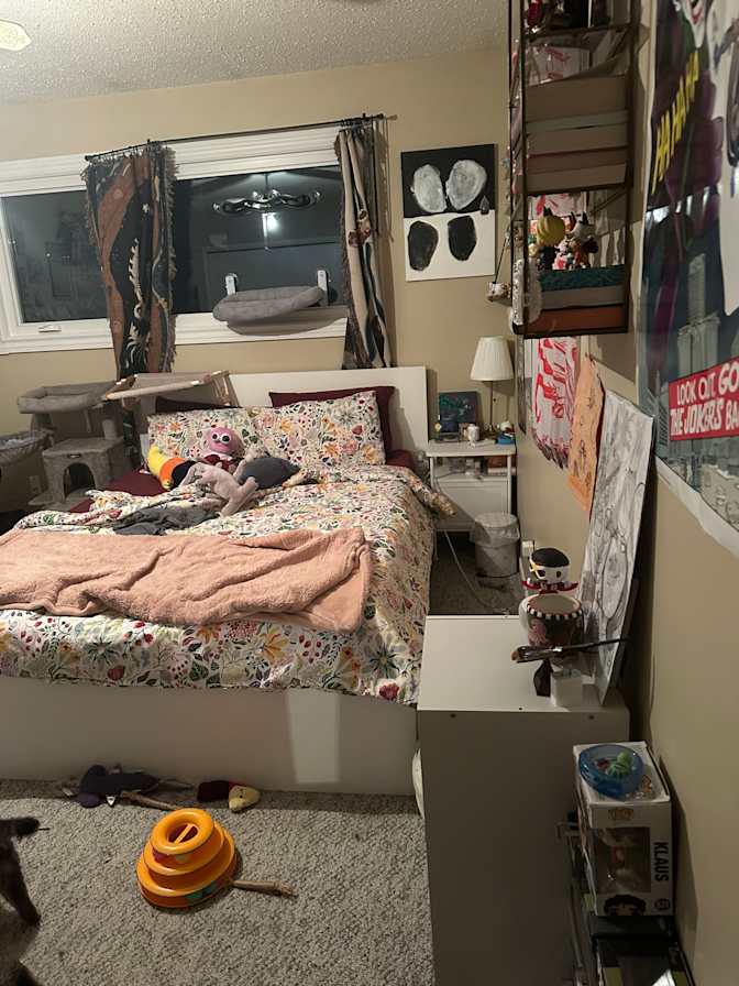 Photo of Fiore's room