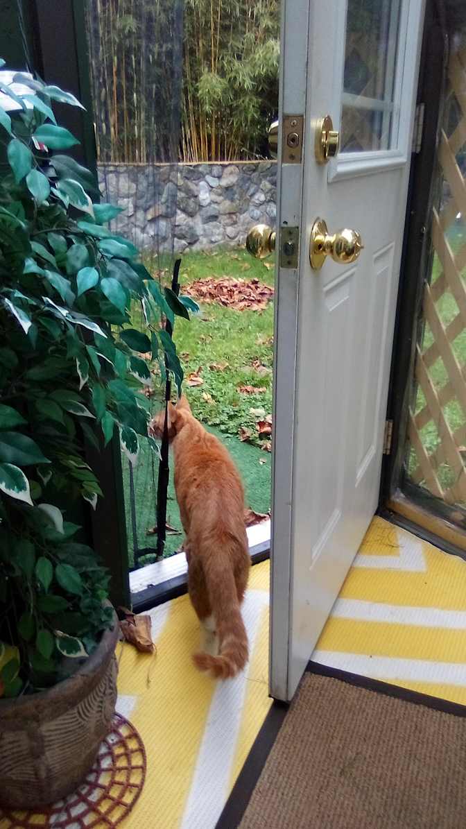 Photo of Barbara's room