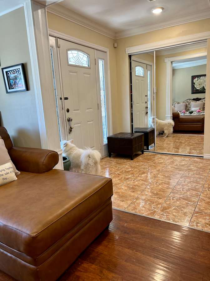 Deanna Oliveros's room