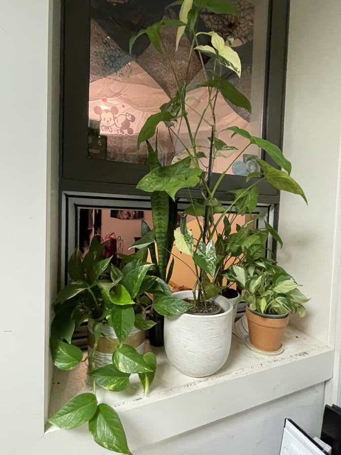 Photo of Cris's room