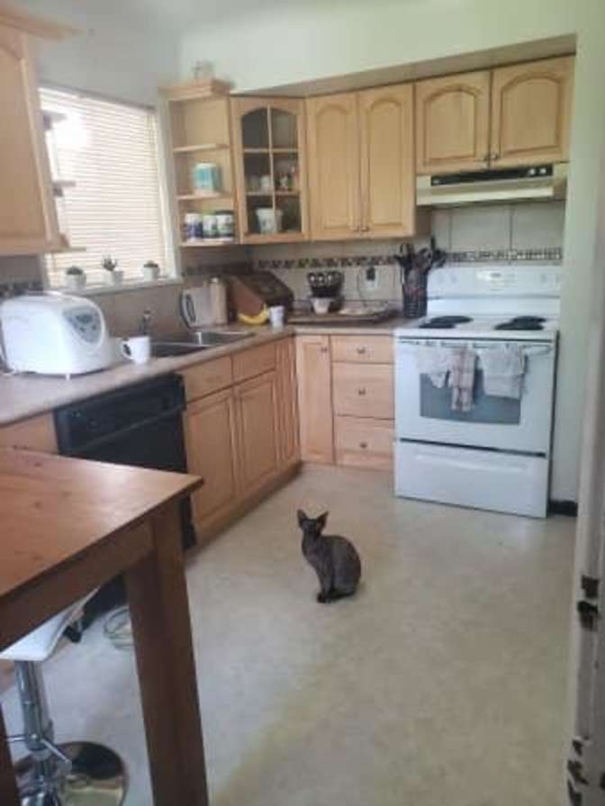 Photo of Stephanie's room