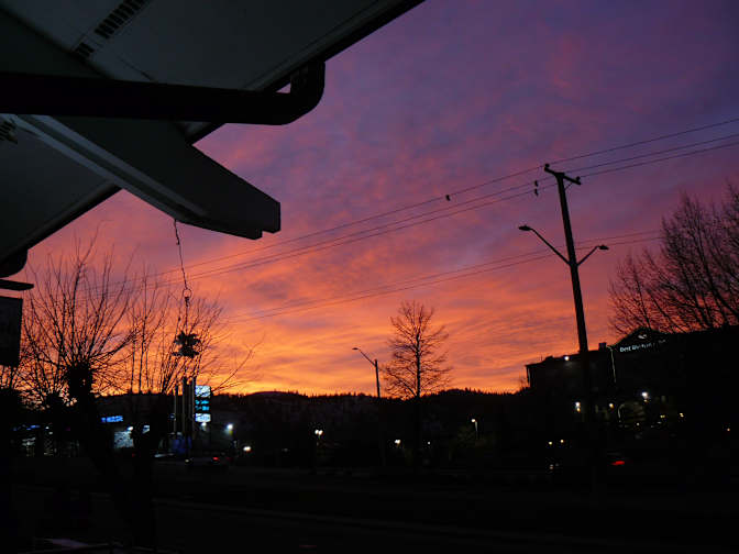 Miss Renee K. Taylor--Wants to help resolve an unconfirmed Crime-Incident--University Degree--Theatre Buff's room