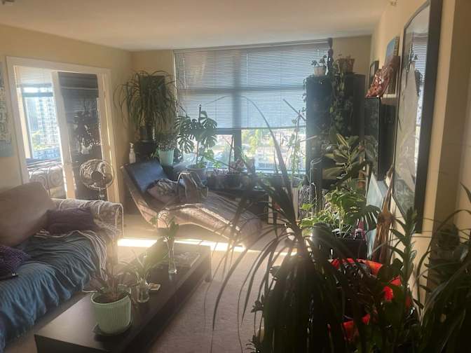 Photo of Richard Romano Carlsen's room