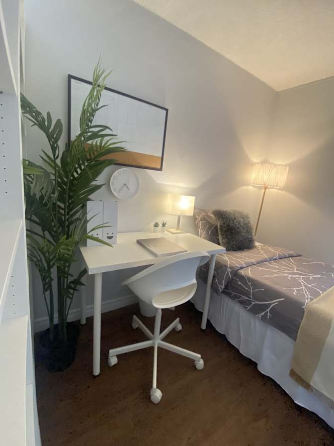 Photo of Mahmut Aga's room