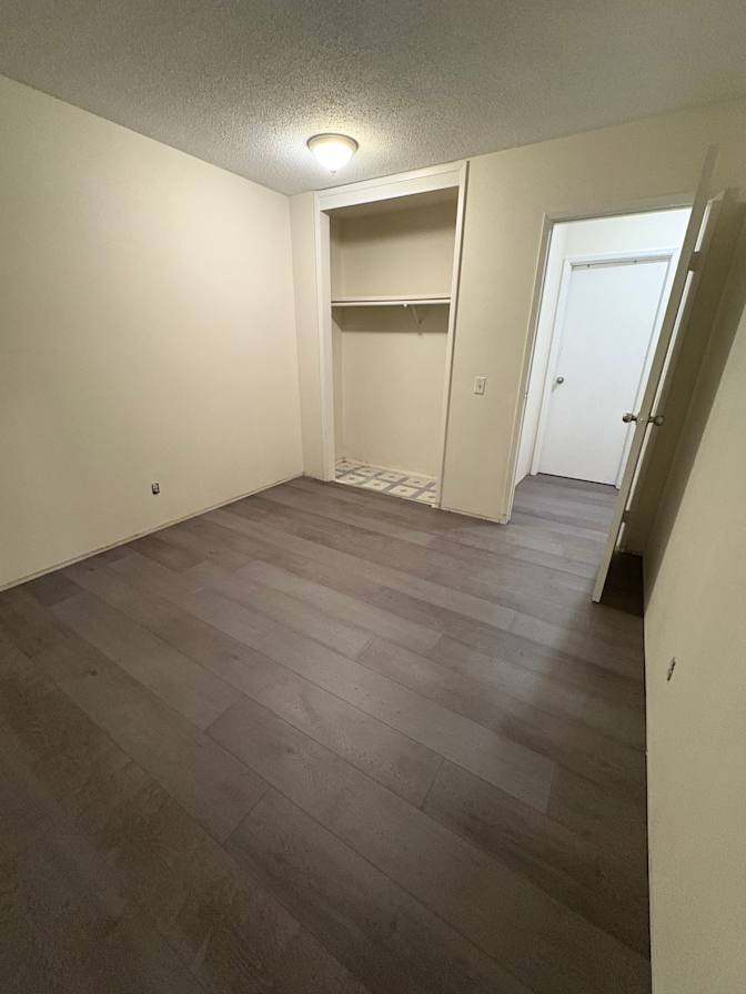 Michelle Meier's room