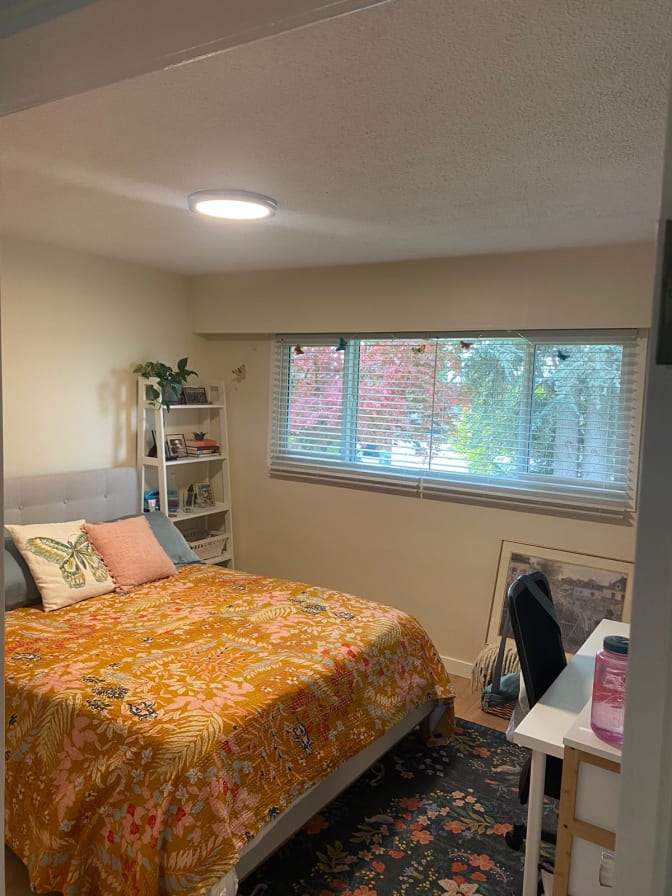 Doina Dragomir's room