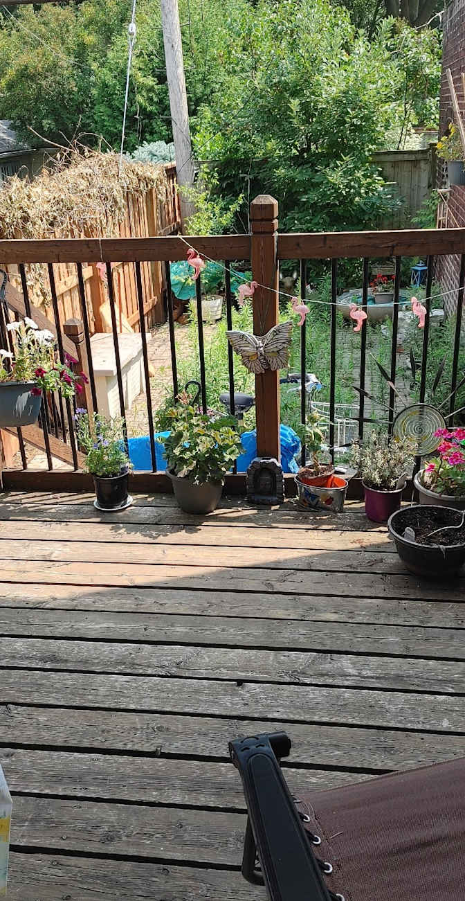 Photo of Karen's room