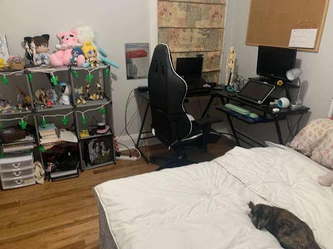 Photo of Sarah's room