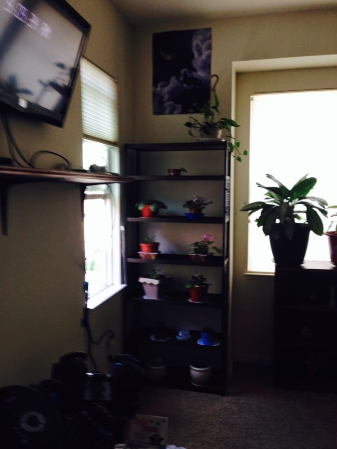 Photo of Humberto  Ham's room