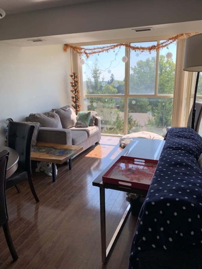 Photo of valerie's room