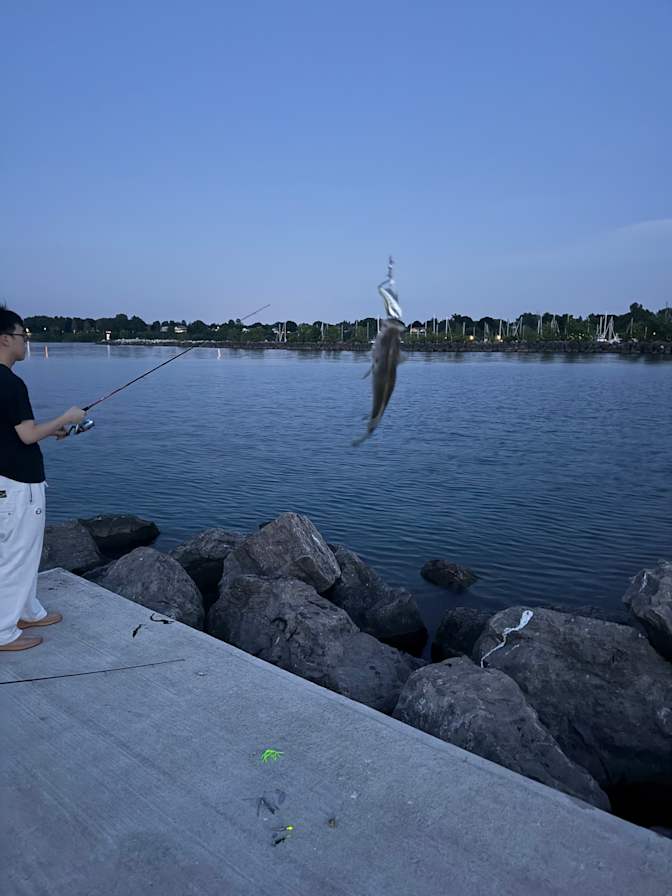 Photo of Bradley's room