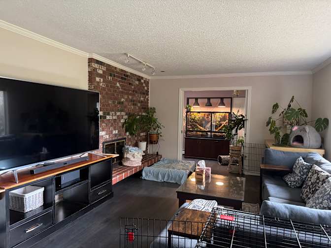 Photo of Jacqueline's room