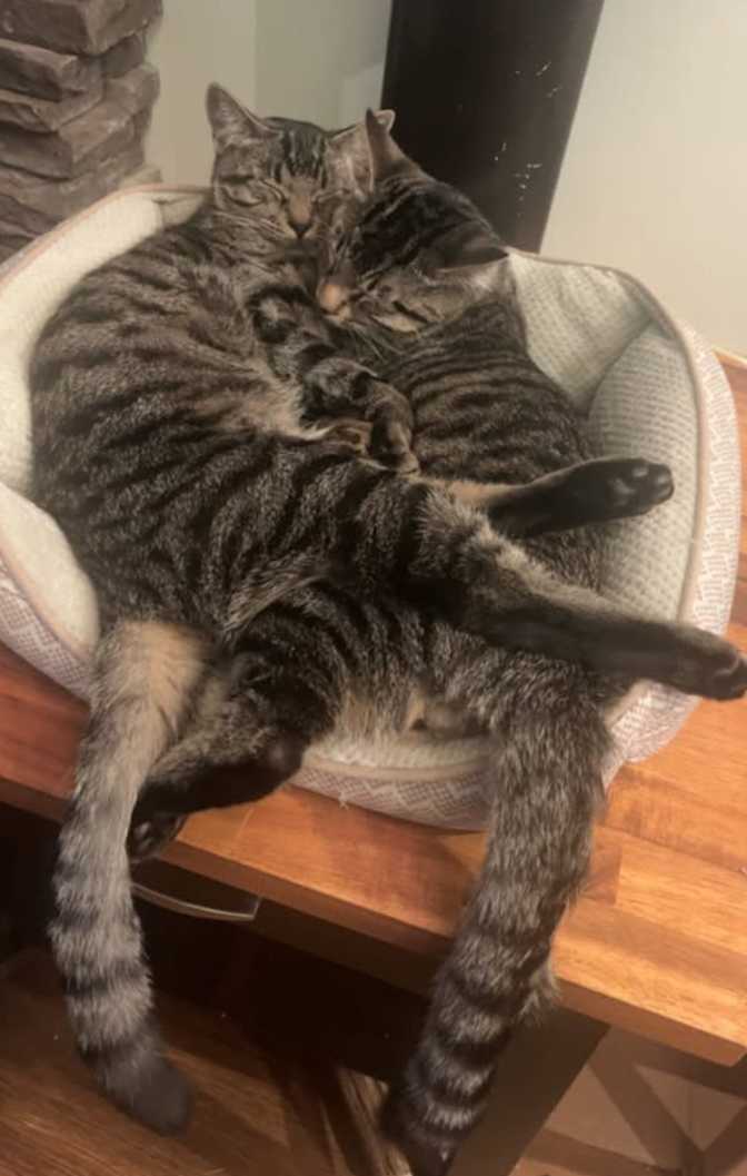 Photo of Sherry's room