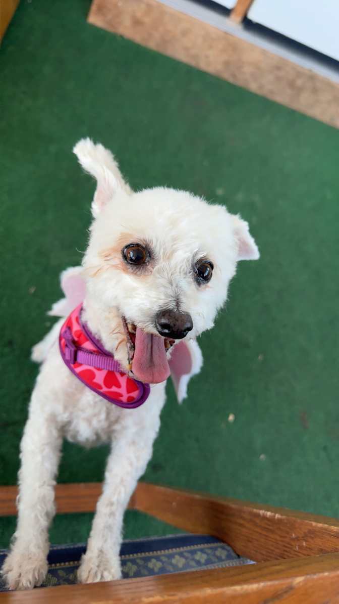 Photo of Leanne's room