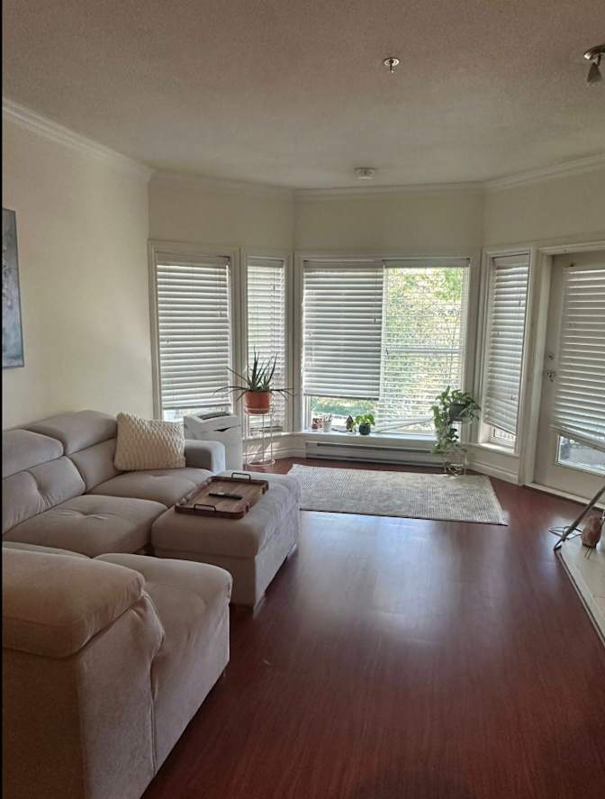 Rasa Petronis's room