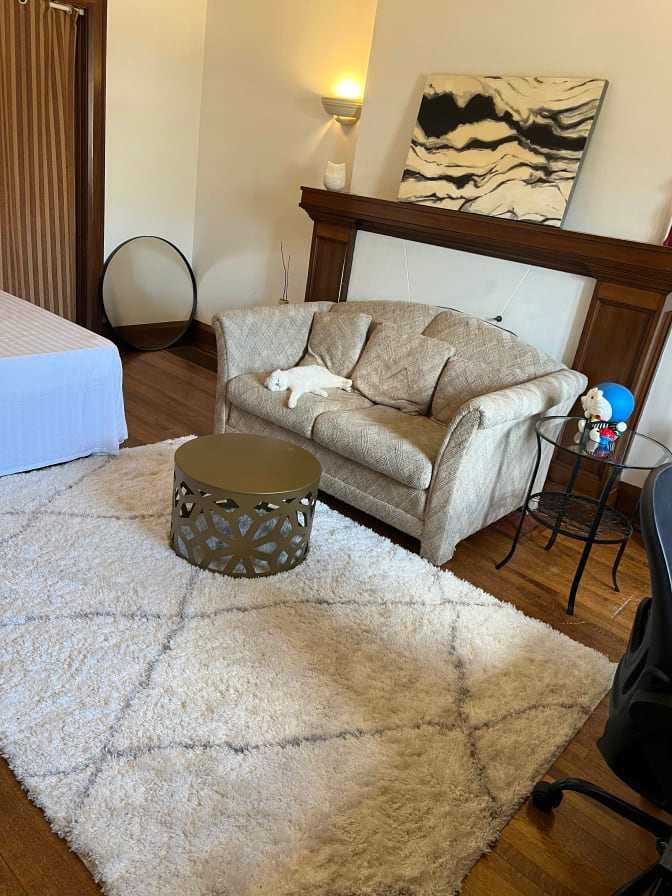 Evelina Suleimanova's room