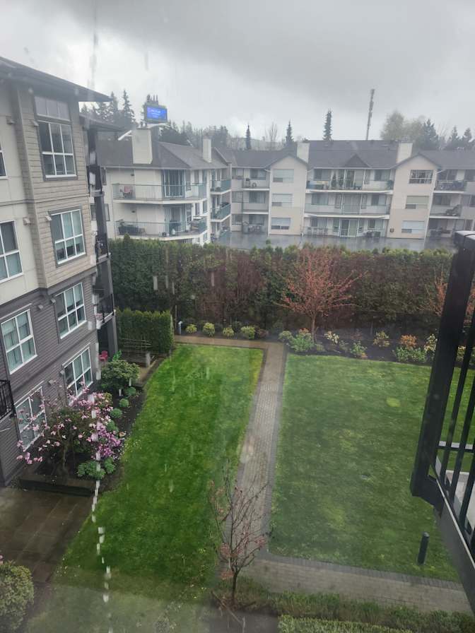 Photo of Layla's room