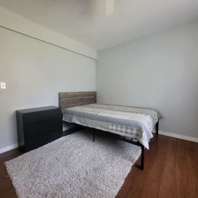 Photo of Irina's room