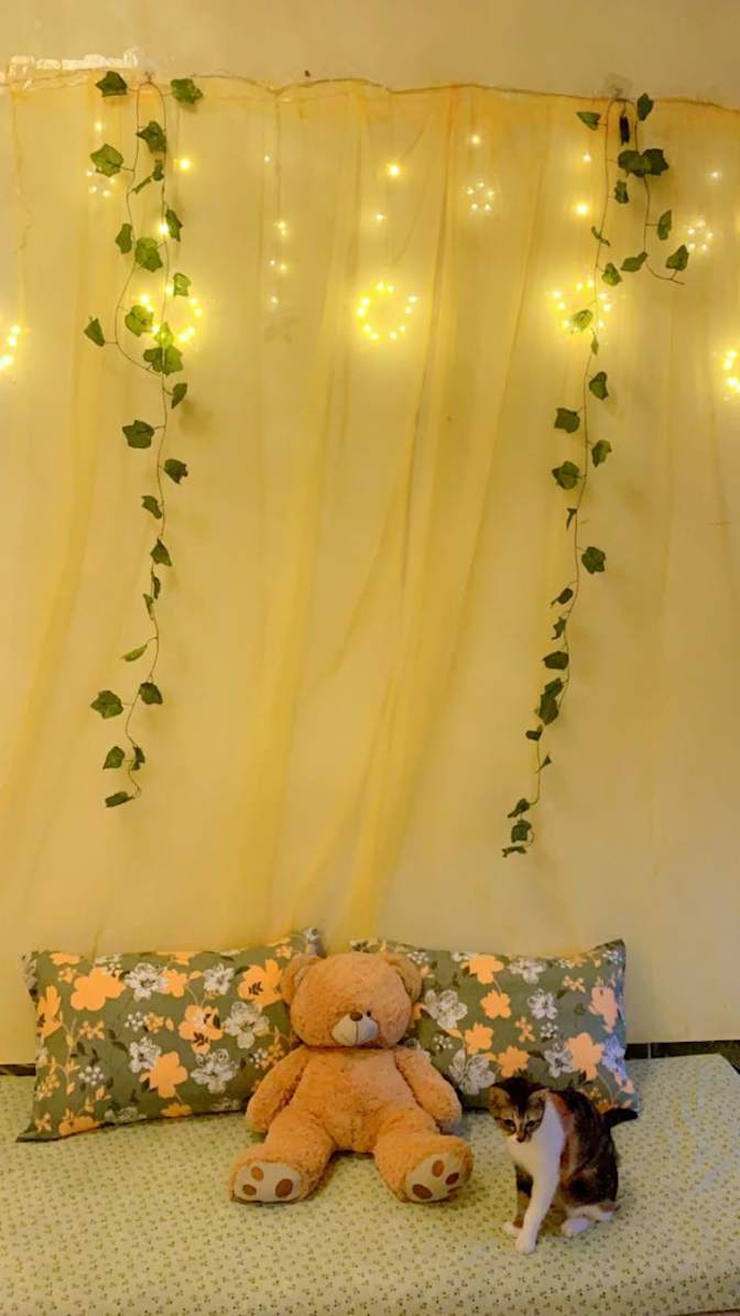 Photo of Kubra's room