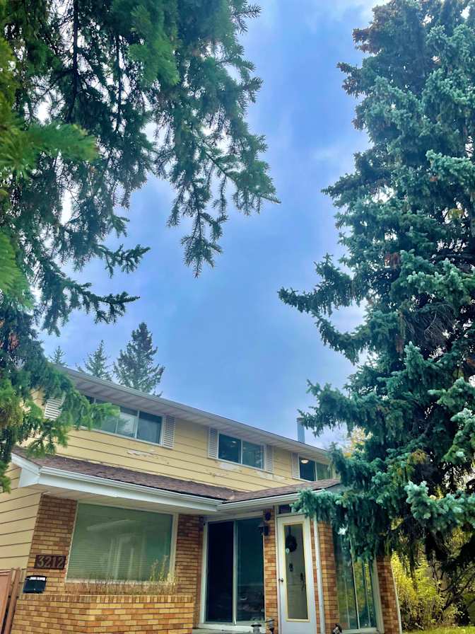 Syeda Fardina's room