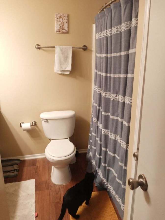 Photo of Mazie's room