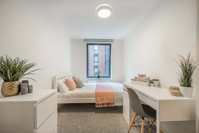 Photo of Home Accommodation's room