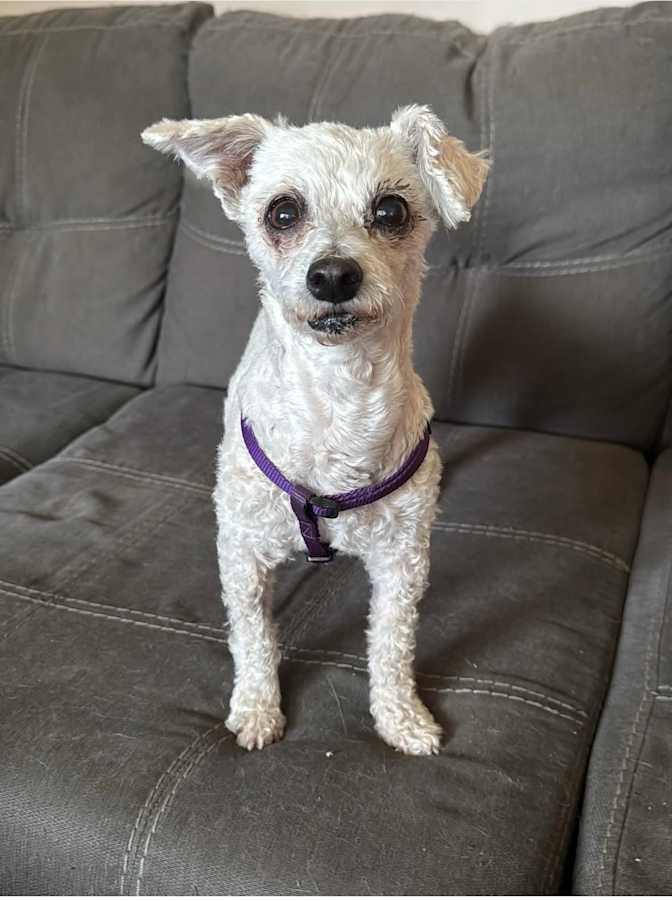 Photo of Leanne's room