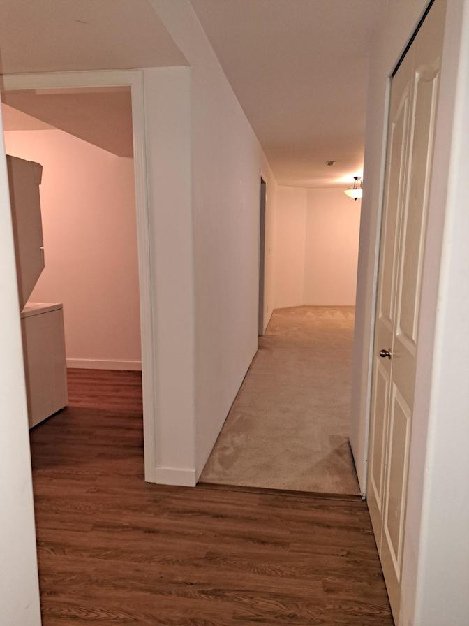 Photo of Nazanin Tofangchi's room