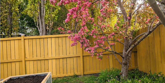 Kalvin Metcalf's room