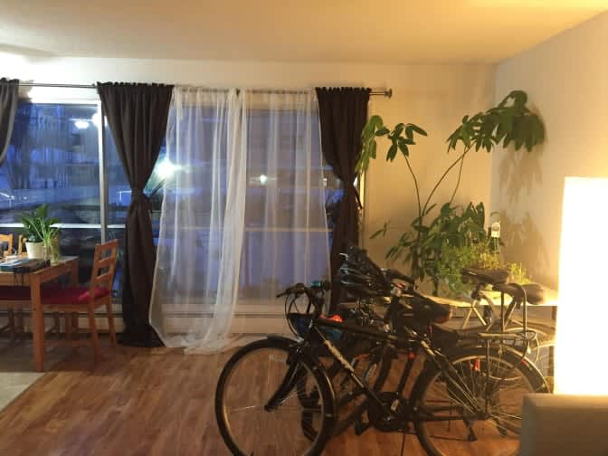 Photo of The Roommates's room