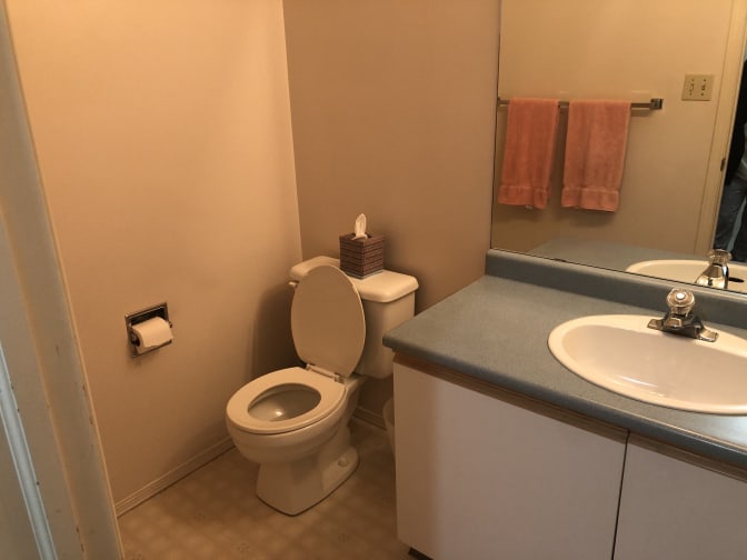 Photo of Josephine De Gabrielle's room