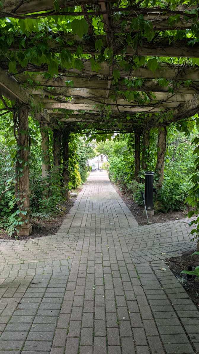 Photo of cynthia's room